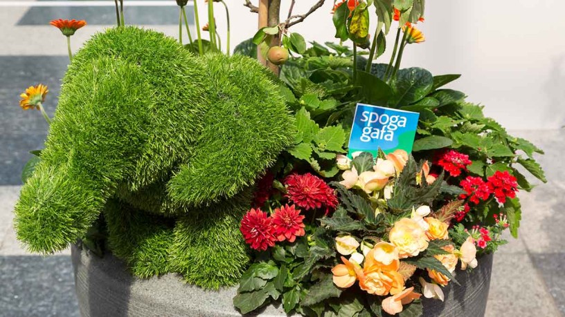 微信图片_20220901084450.jpg 微信图片_20220901084450.jpg